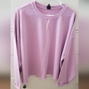 Wild Fable Crop Oversized Crewneck